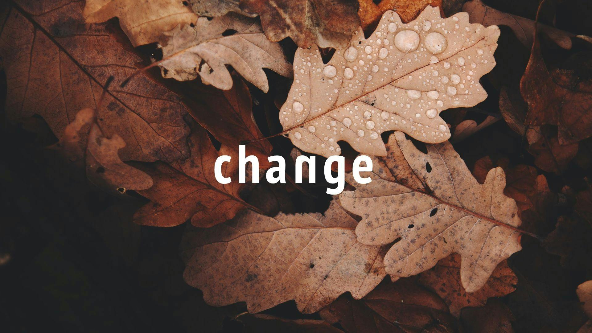 Fall leaves with the word "change"